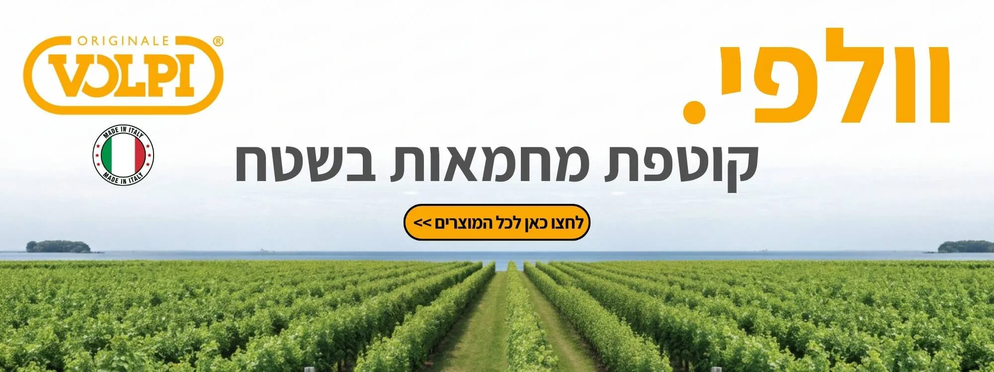 וולפי - קוטפת מחמאות בשטח 